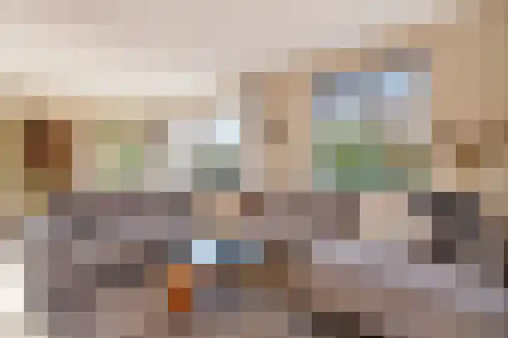 De Valkerij 23 Gramsbergen thumbnail 7