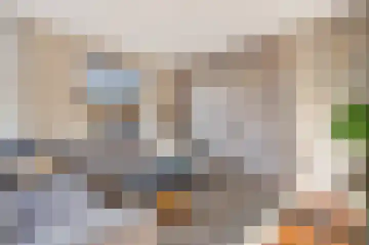 De Valkerij 23 Gramsbergen thumbnail 8