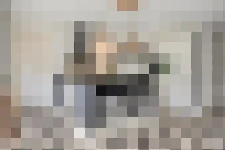 De Valkerij 3 Gramsbergen thumbnail 10