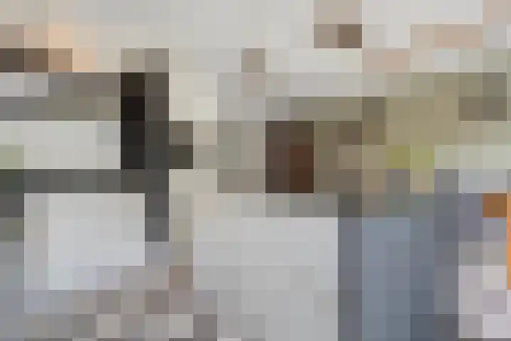 De Valkerij 3 Gramsbergen thumbnail 11