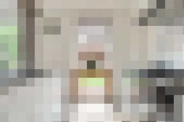 De Valkerij 3 Gramsbergen thumbnail 12