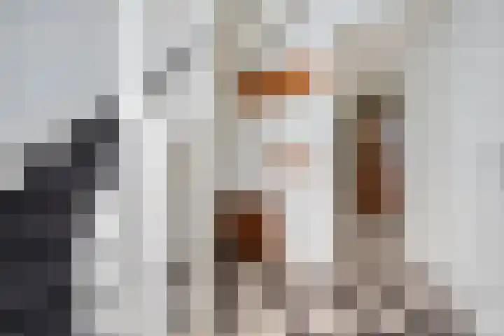 De Valkerij 3 Gramsbergen thumbnail 13