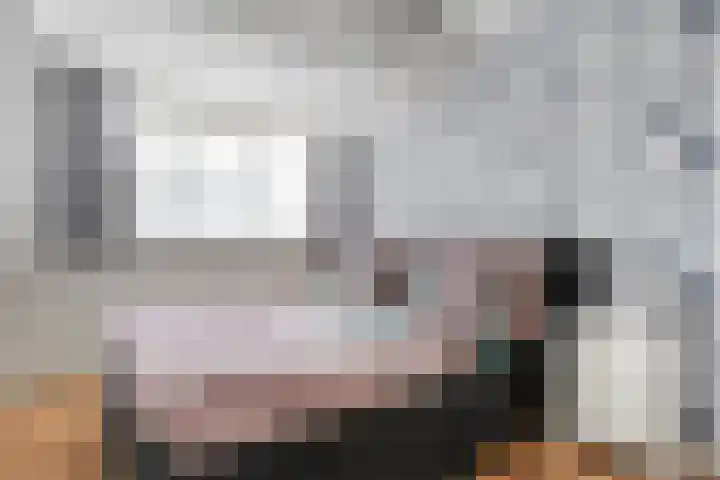 De Valkerij 3 Gramsbergen thumbnail 16