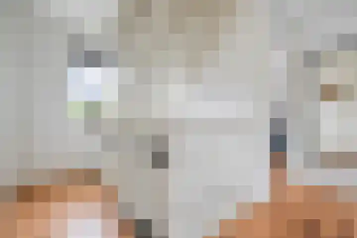 De Valkerij 3 Gramsbergen thumbnail 24