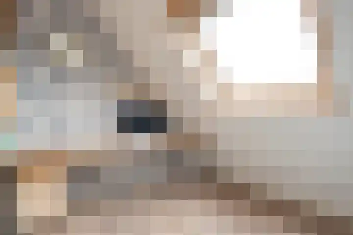 De Valkerij 3 Gramsbergen thumbnail 26