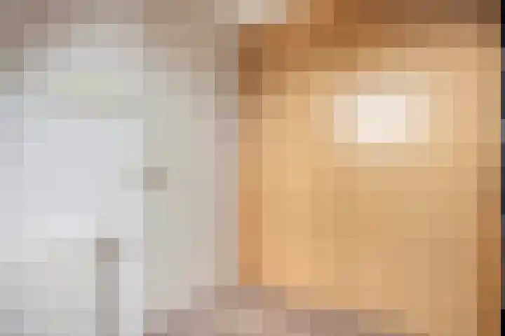 De Valkerij 3 Gramsbergen thumbnail 27