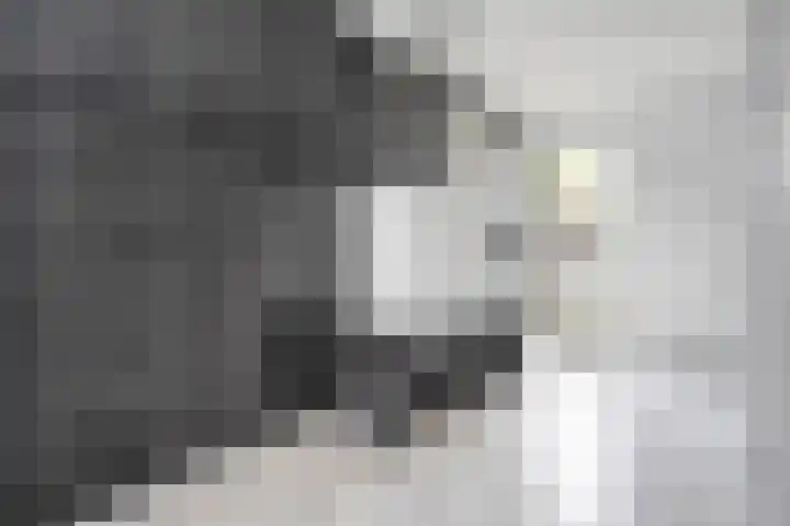 De Valkerij 3 Gramsbergen thumbnail 28