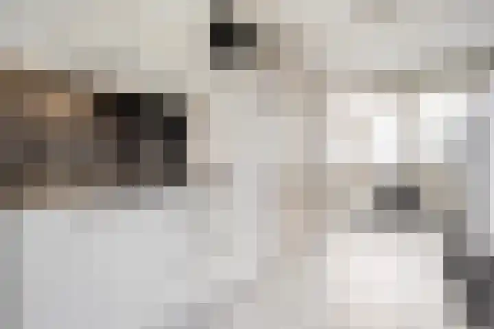De Valkerij 3 Gramsbergen thumbnail 29