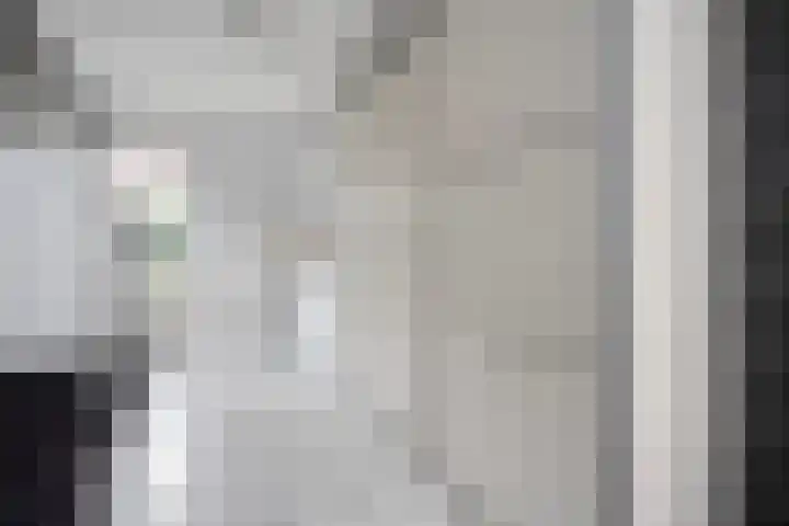 De Valkerij 3 Gramsbergen thumbnail 30