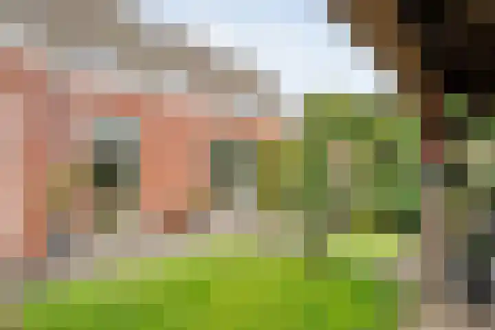 De Valkerij 3 Gramsbergen thumbnail 31