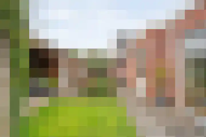 De Valkerij 3 Gramsbergen thumbnail 34