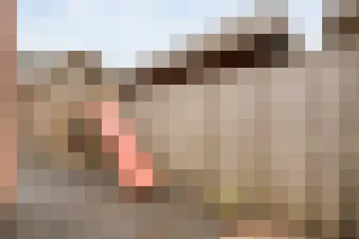 De Valkerij 3 Gramsbergen thumbnail 35