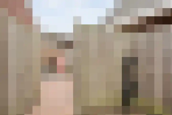 De Valkerij 3 Gramsbergen thumbnail 36