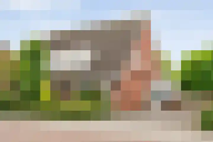 De Valkerij 3 Gramsbergen thumbnail 37