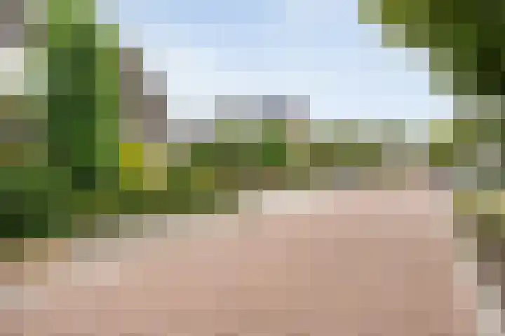 De Valkerij 3 Gramsbergen thumbnail 38