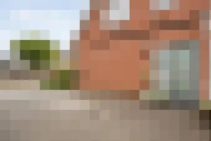 De Valkerij 3 Gramsbergen thumbnail 39