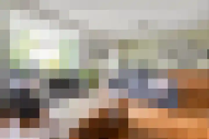 De Valkerij 3 Gramsbergen thumbnail 4
