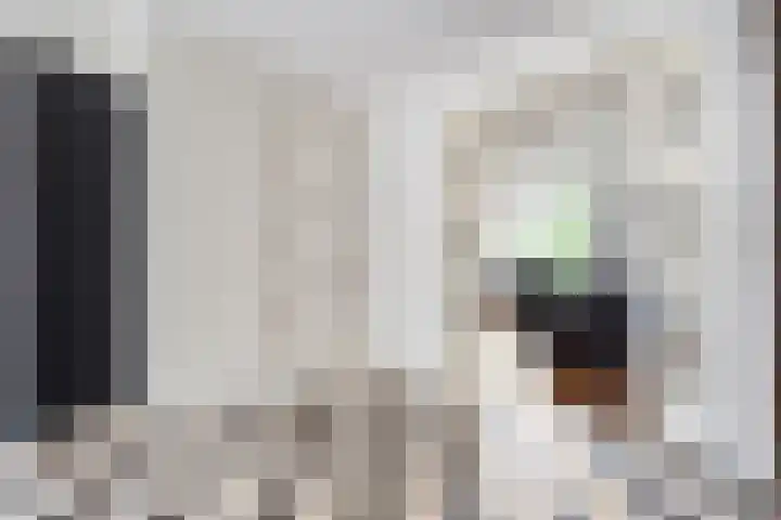 De Valkerij 3 Gramsbergen thumbnail 40