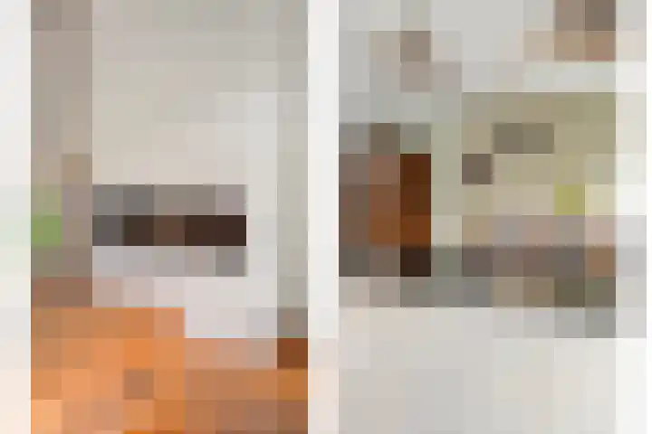 De Valkerij 3 Gramsbergen thumbnail 7