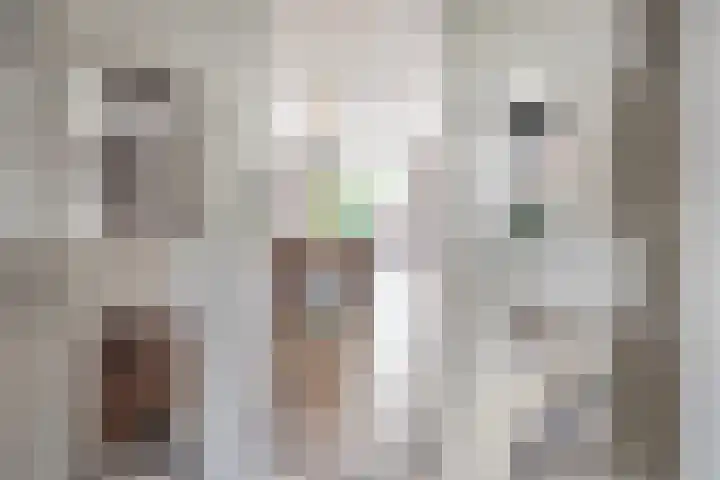 De Valkerij 3 Gramsbergen thumbnail 8