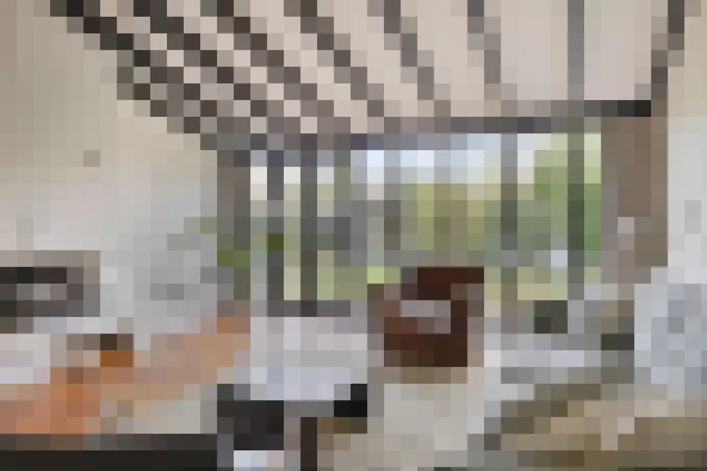 De Vallei 29 Assen thumbnail 15