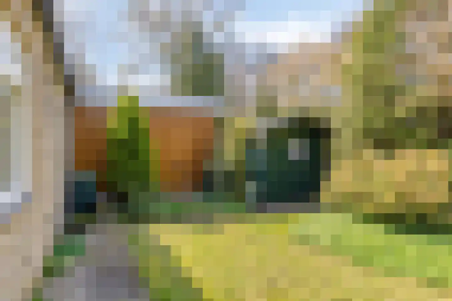De Valouwe 16 Appelscha thumbnail 17