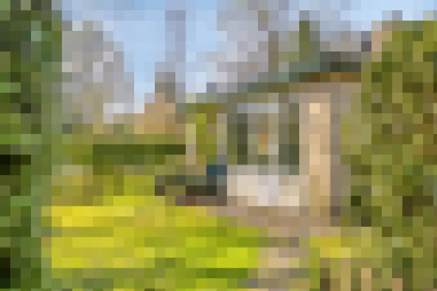 De Valouwe 16 Appelscha thumbnail 18