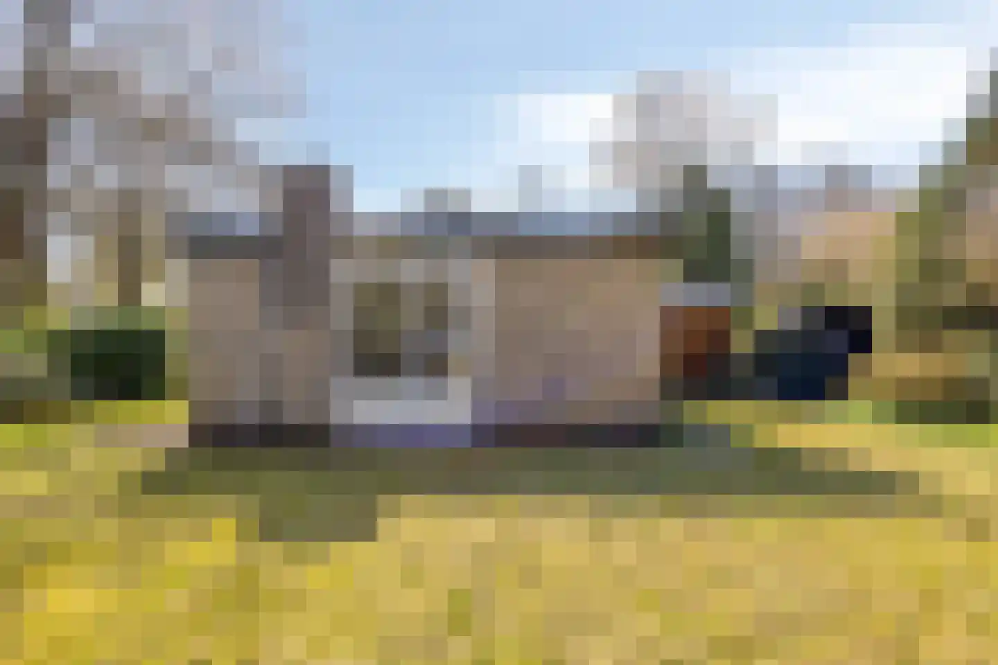 De Valouwe 16 Appelscha thumbnail 20