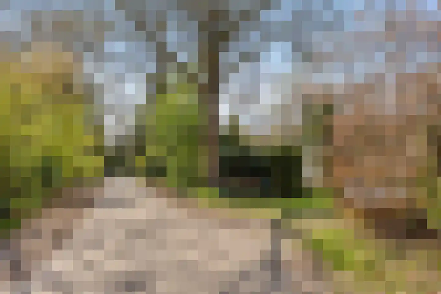 De Valouwe 16 Appelscha thumbnail 25