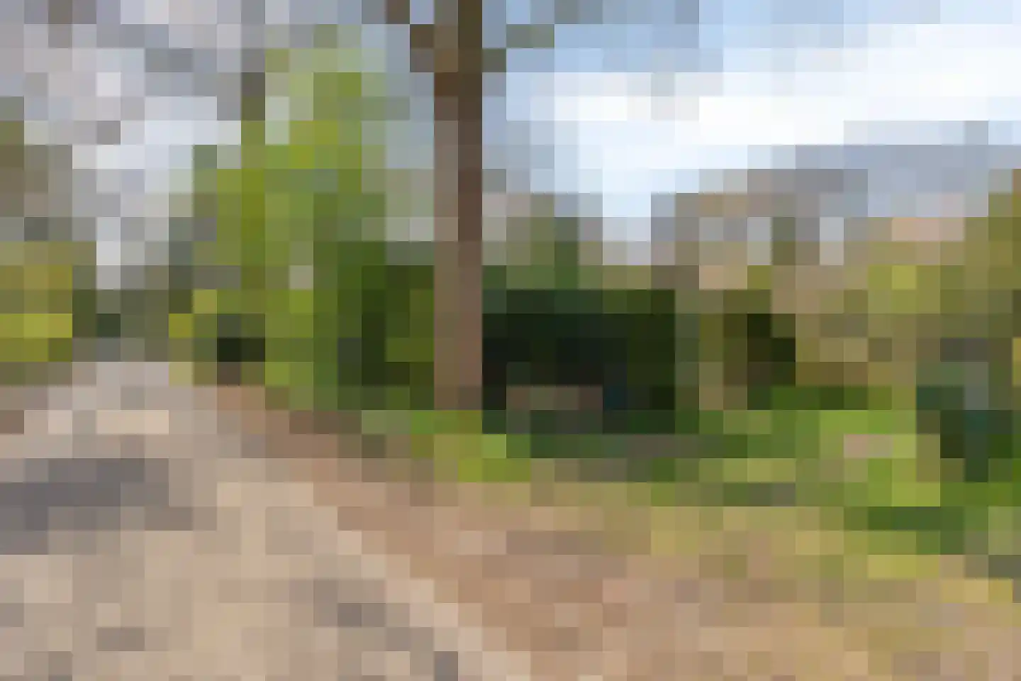 De Valouwe 16 Appelscha thumbnail 26
