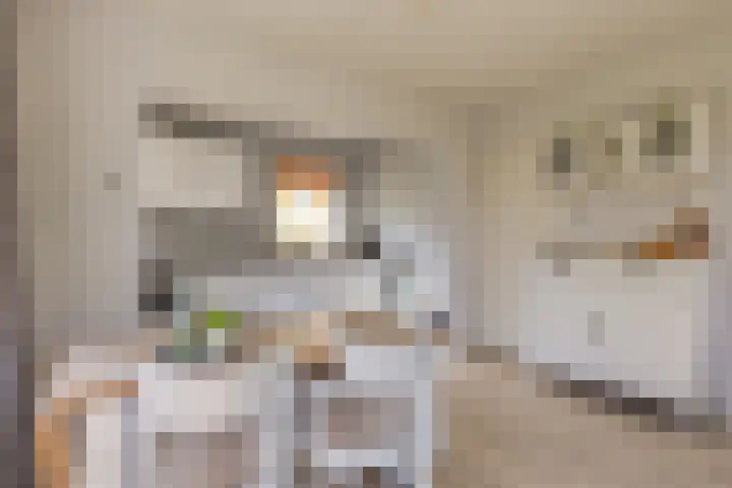 De Valouwe 16 Appelscha thumbnail 7