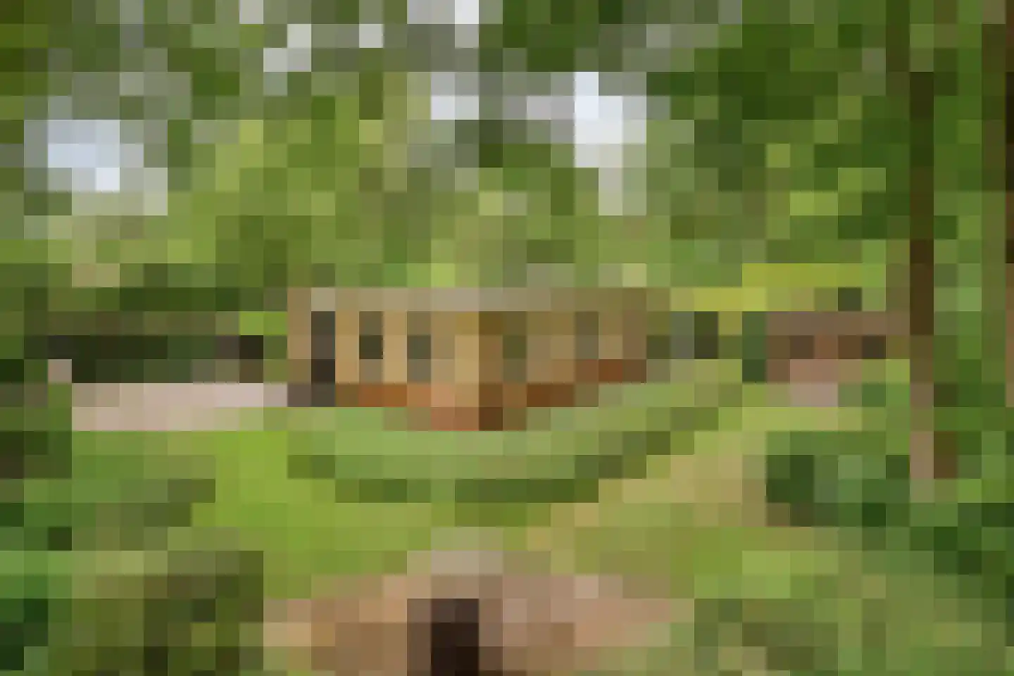 De Valouwe 2 in Appelscha