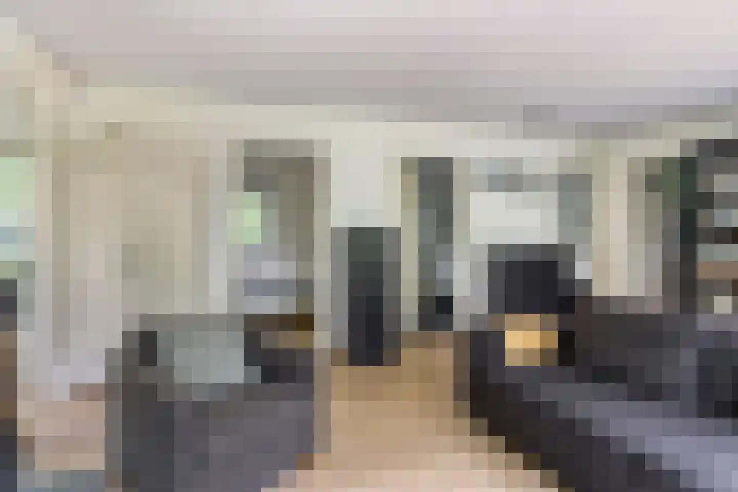 De Valouwe 2 Appelscha thumbnail 11