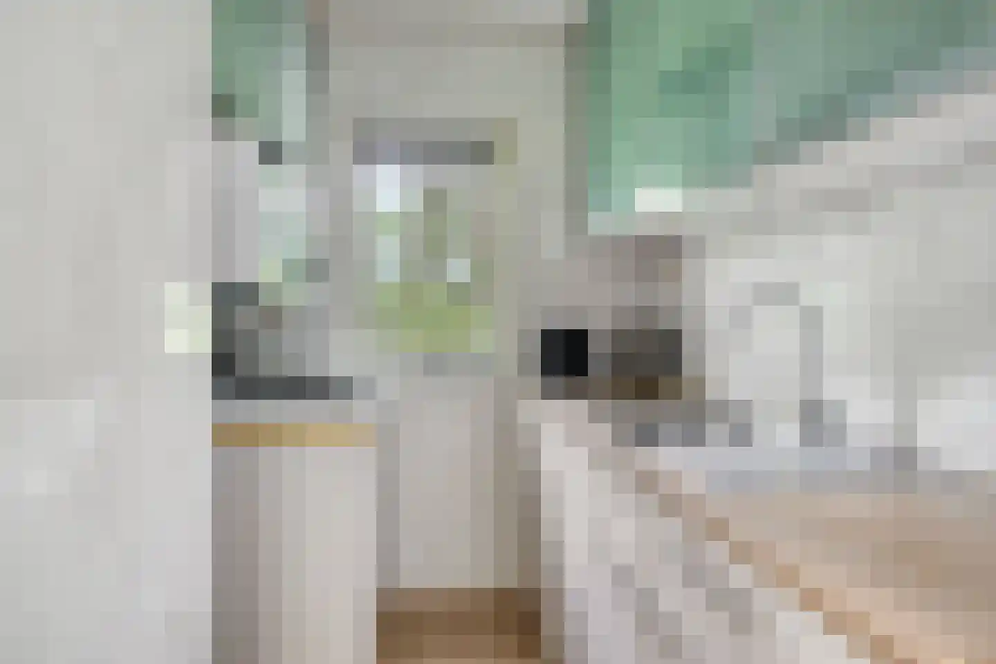 De Valouwe 2 Appelscha thumbnail 19