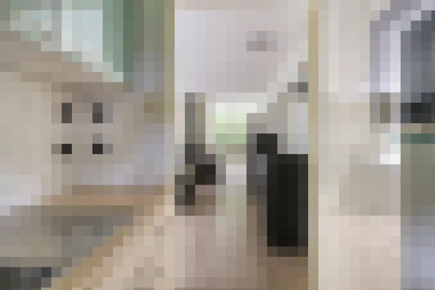 De Valouwe 2 Appelscha thumbnail 20