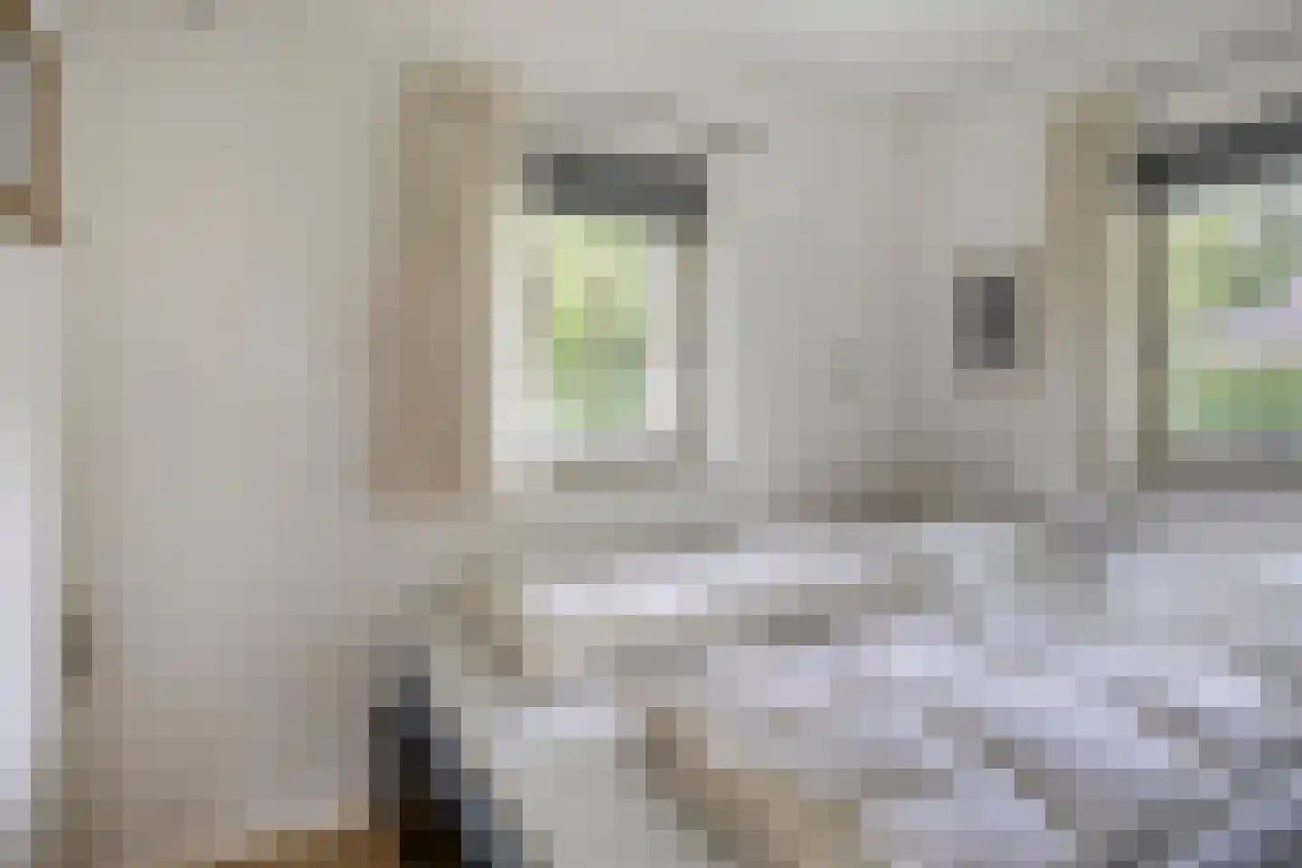 De Valouwe 2 Appelscha thumbnail 21