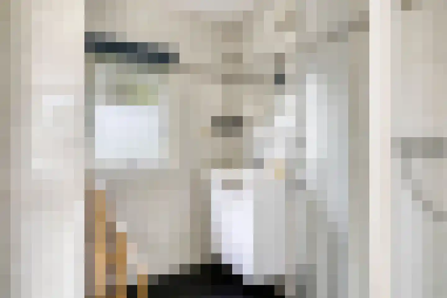 De Valouwe 2 Appelscha thumbnail 26