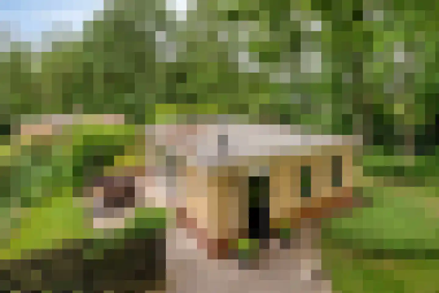 De Valouwe 2 Appelscha foto 3