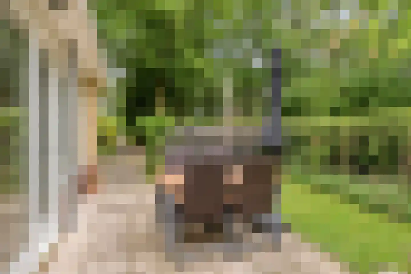 De Valouwe 2 Appelscha thumbnail 31