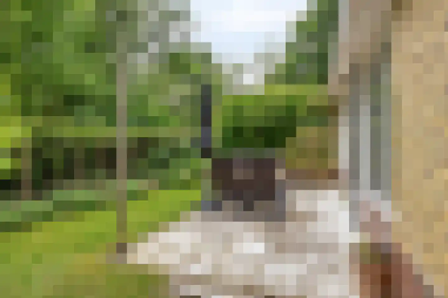 De Valouwe 2 Appelscha thumbnail 32