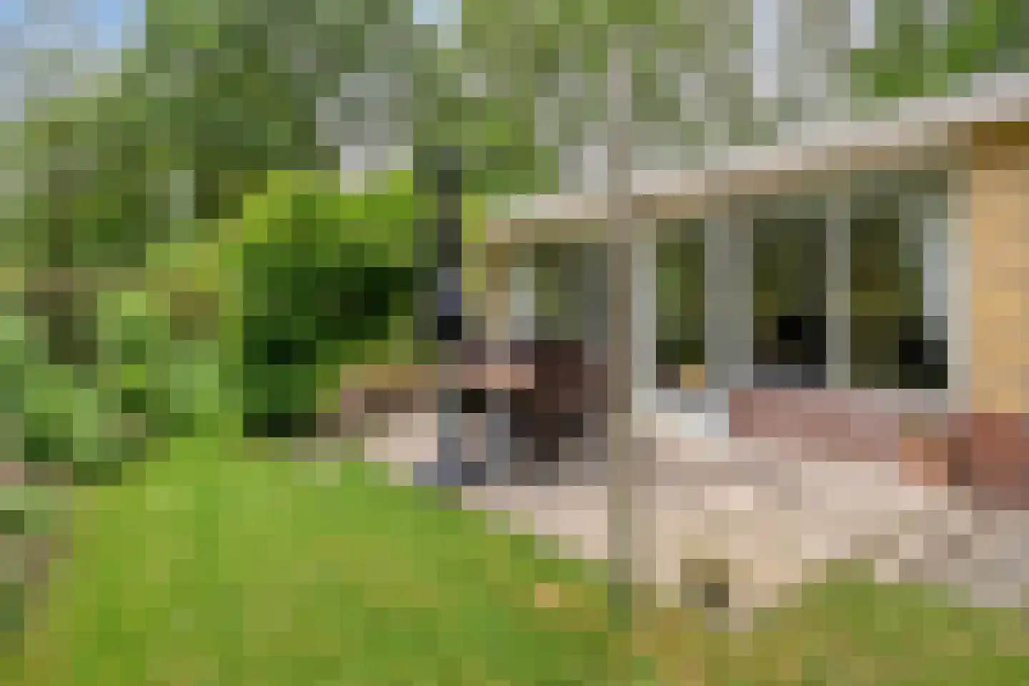 De Valouwe 2 Appelscha thumbnail 33