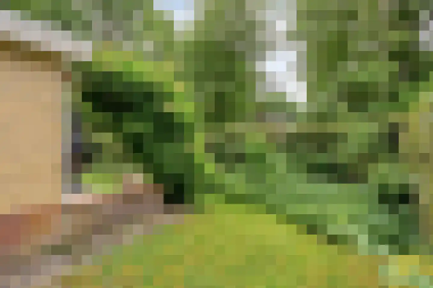De Valouwe 2 Appelscha thumbnail 34