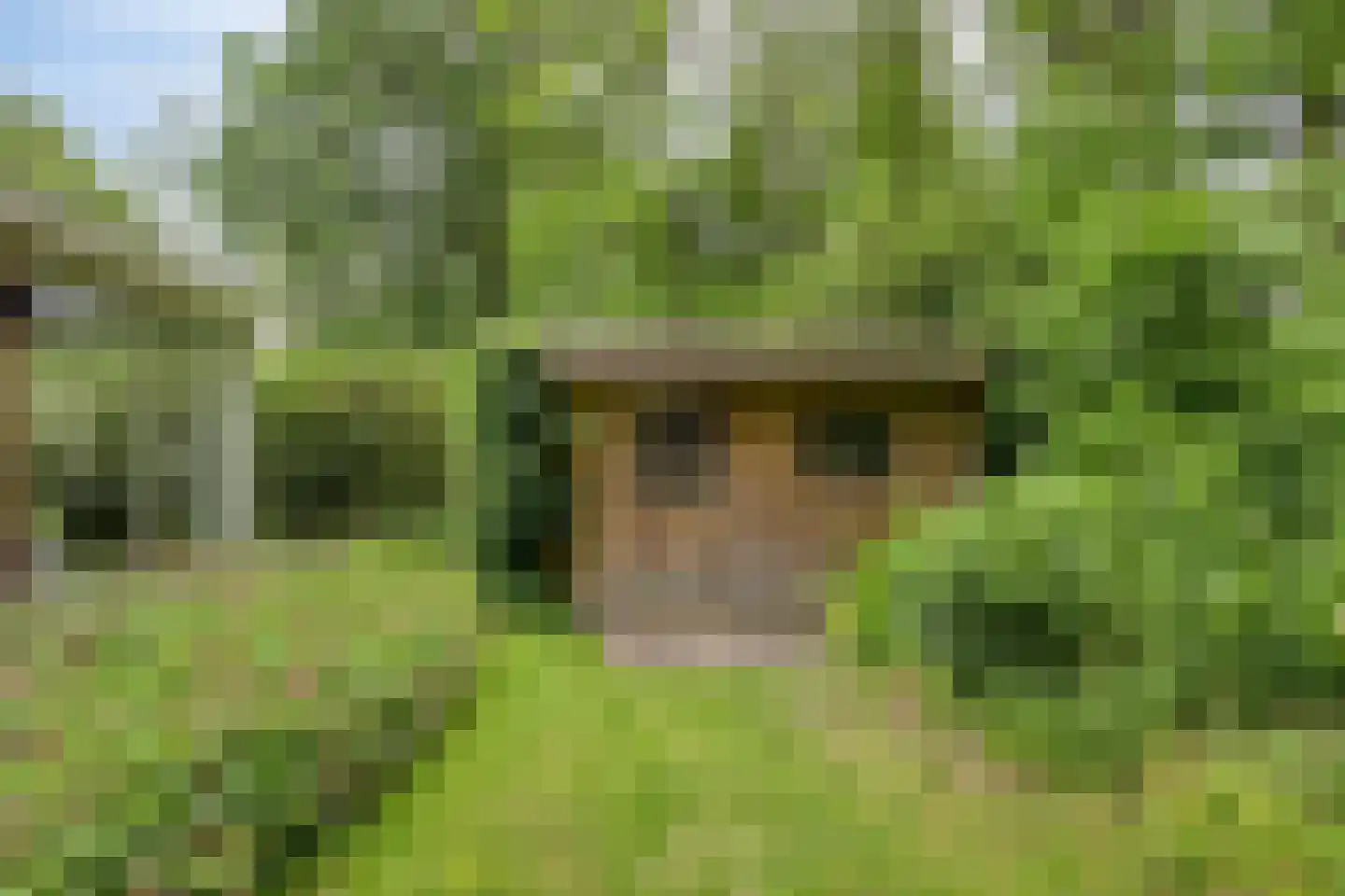De Valouwe 2 Appelscha thumbnail 36