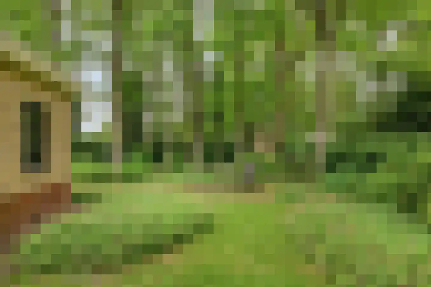 De Valouwe 2 Appelscha thumbnail 38