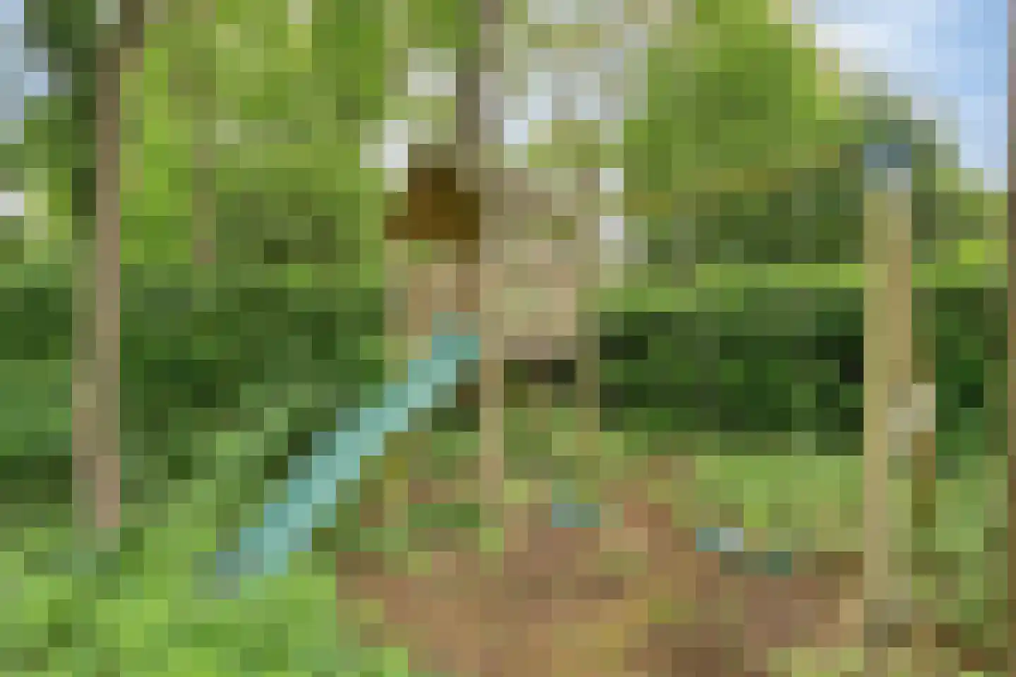 De Valouwe 2 Appelscha thumbnail 39