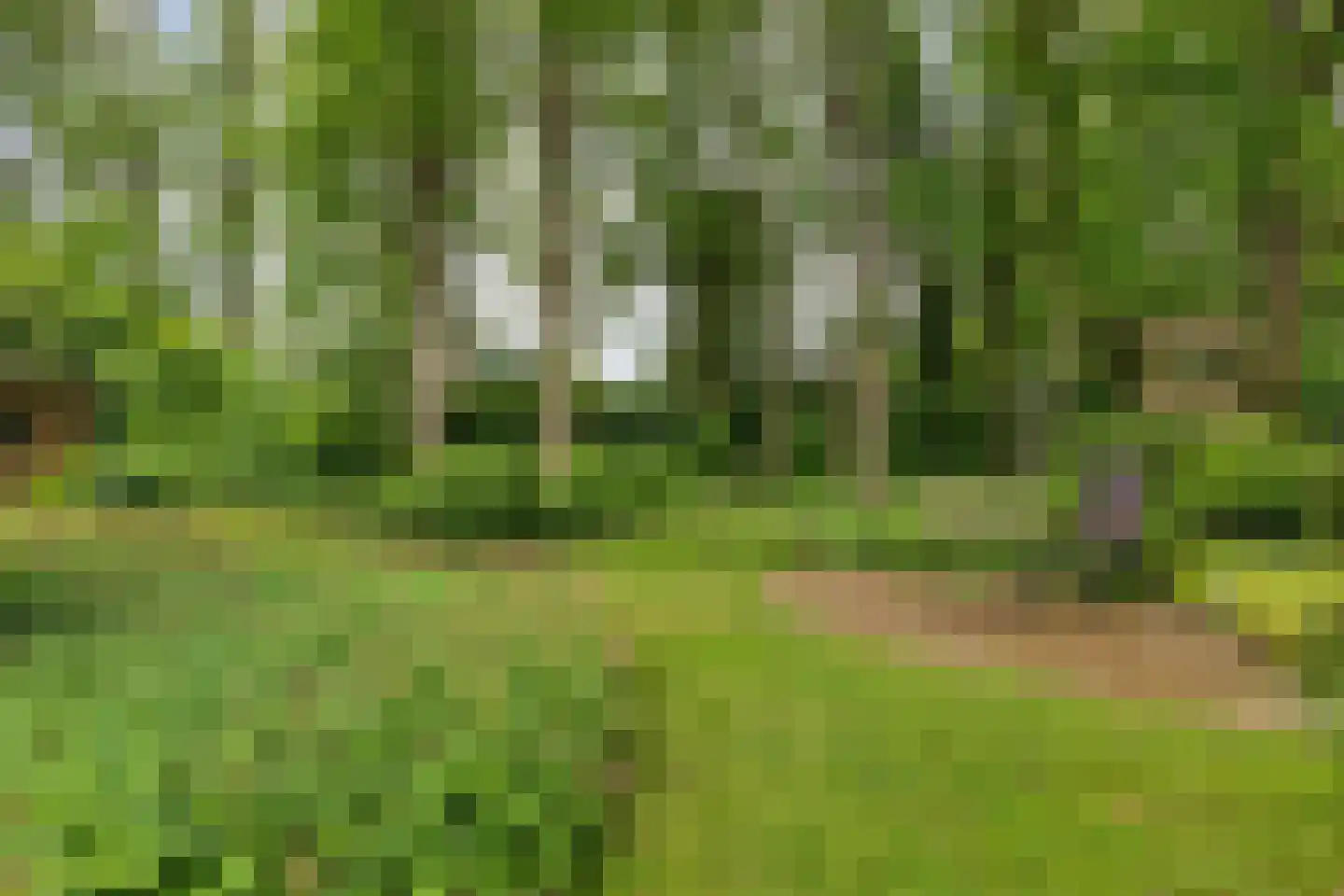 De Valouwe 2 Appelscha thumbnail 40