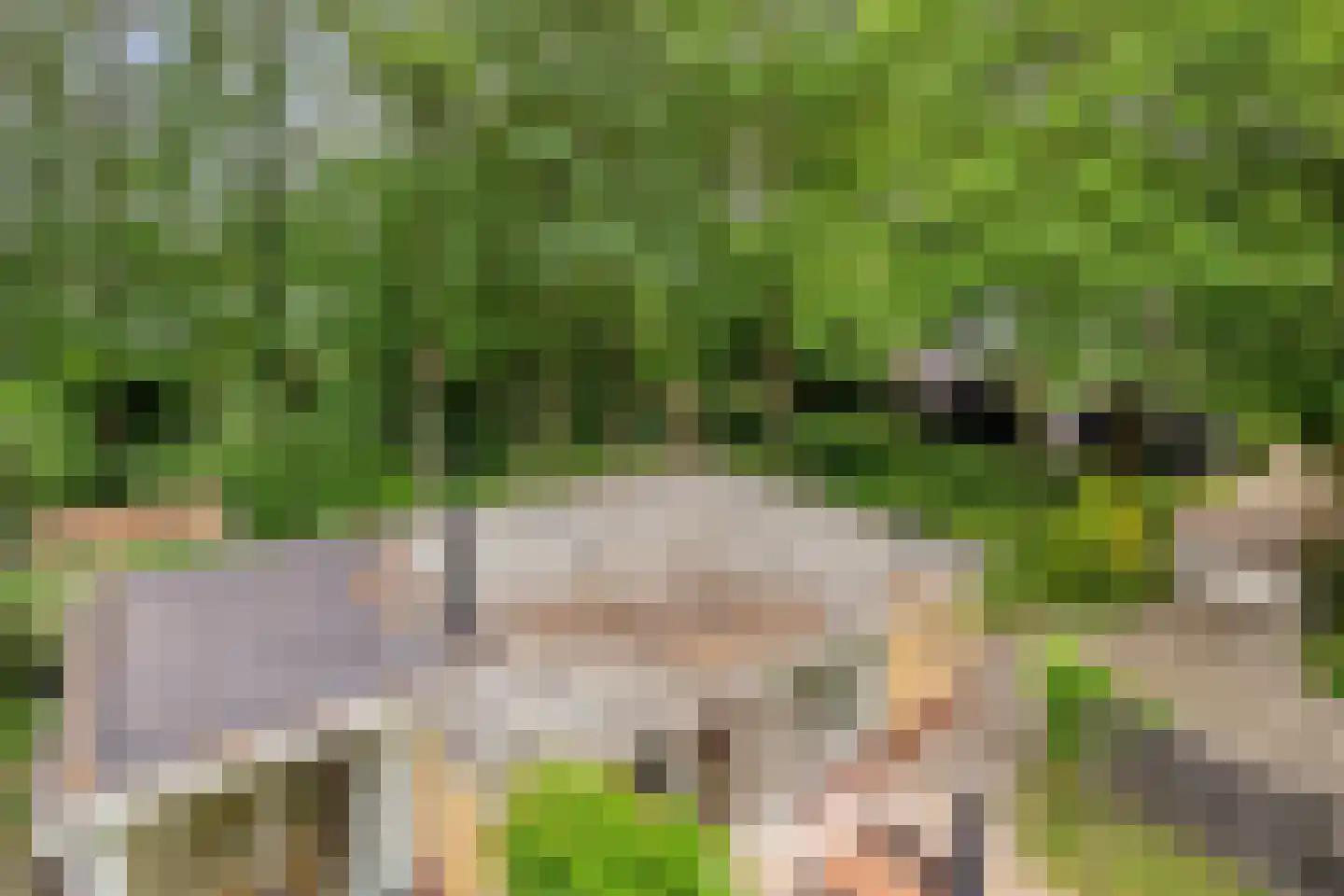 De Valouwe 2 Appelscha thumbnail 43