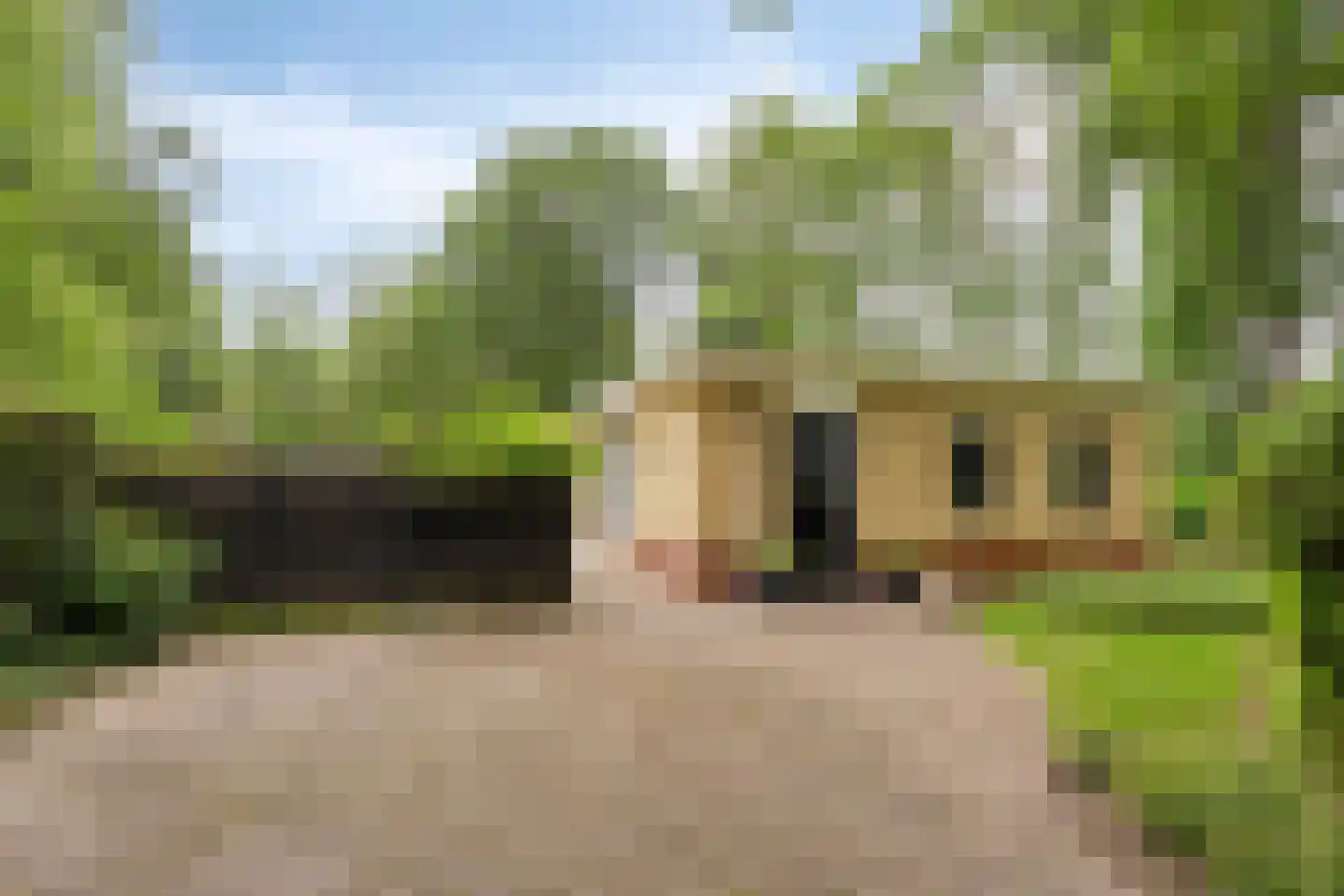 De Valouwe 2 Appelscha thumbnail 44