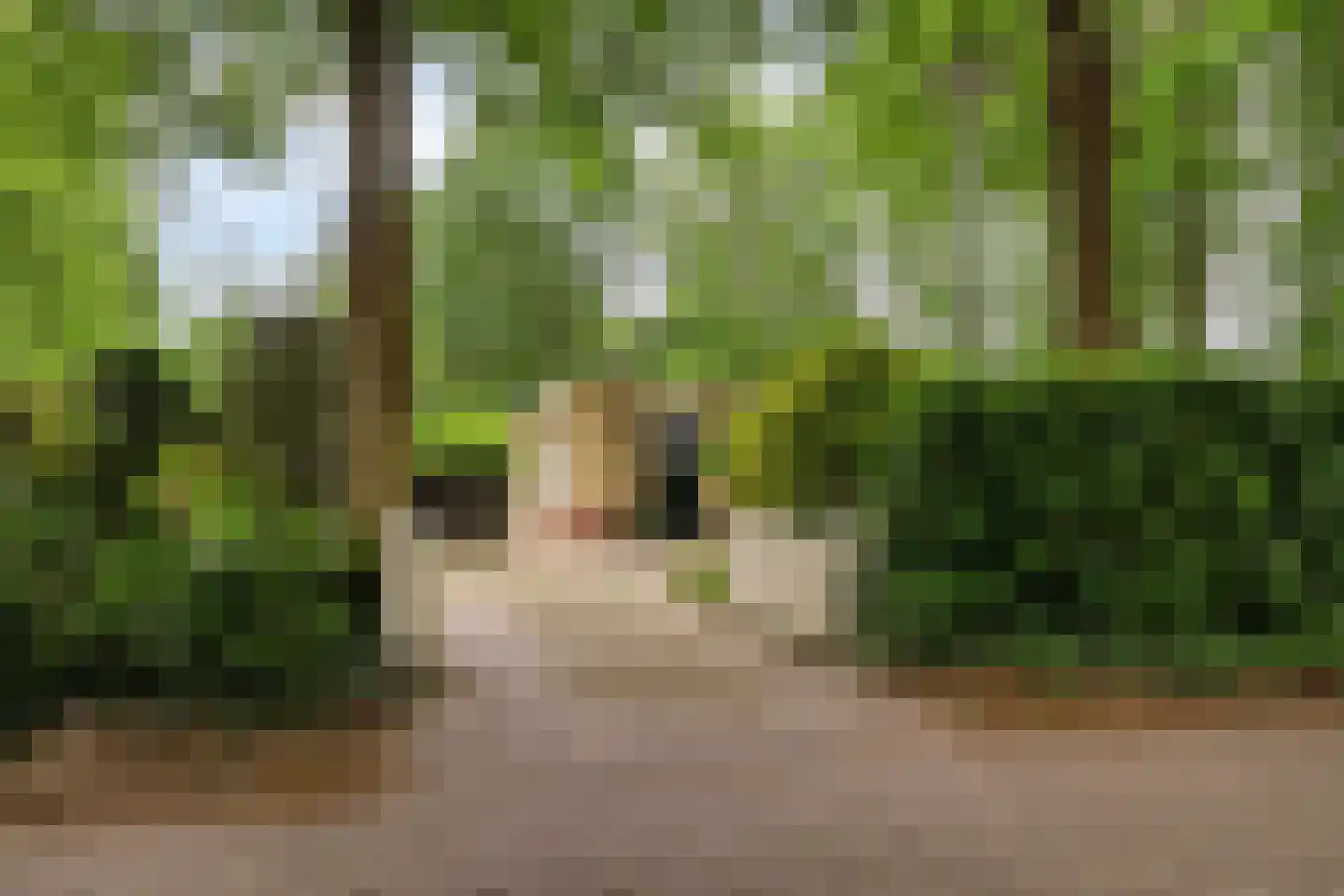 De Valouwe 2 Appelscha thumbnail 45