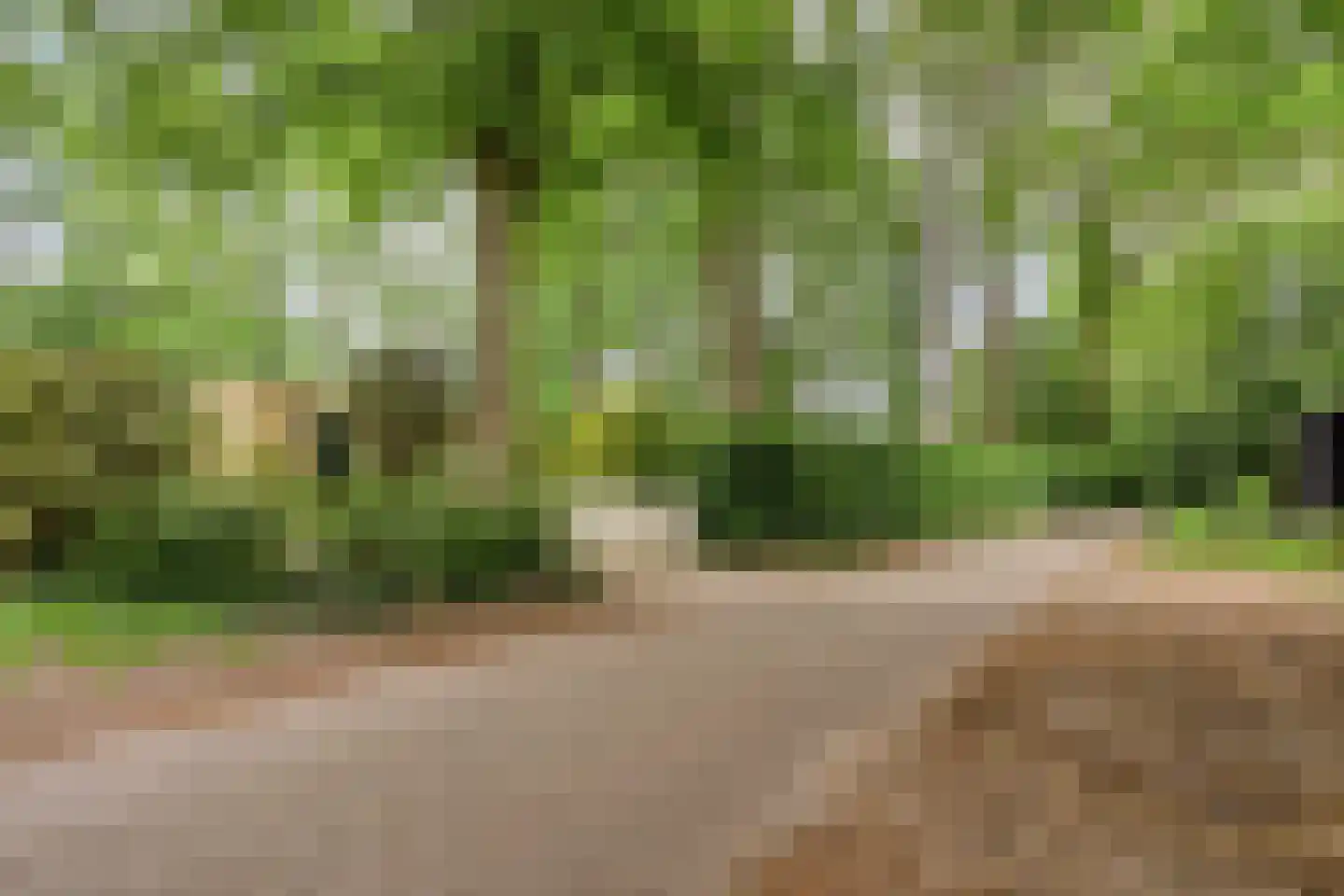 De Valouwe 2 Appelscha thumbnail 46
